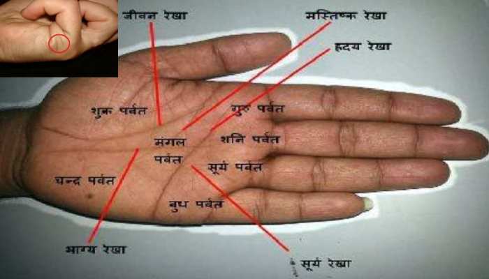How to see hand lines astrology in hindi