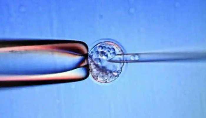 Frozen Embryo पर फंसा पेंच, कानून में हुआ बदलाव; कोर्ट पहुंचा कपल