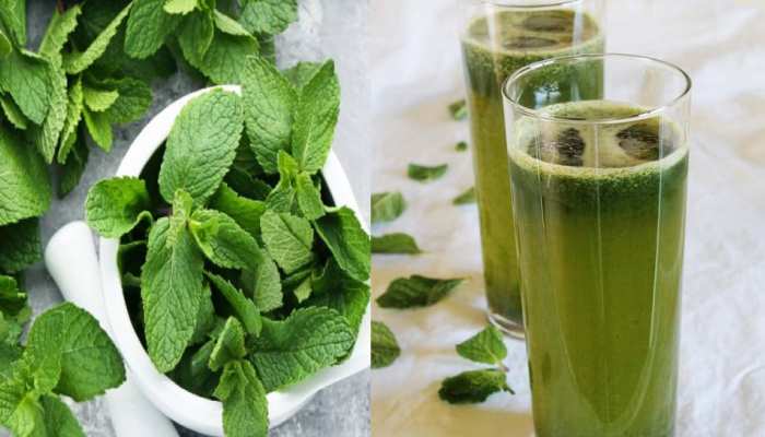 Mint Sherbet Benefits health Benefits of drinking mint syrup in summer brmp  | Pudina Sherbet Benefits: गर्मियों में घर पर बनाकर पीएं पुदीना शरबत,  मिलेंगे 5 जबरदस्त लाभ, जानें विधि | Hindi News ...