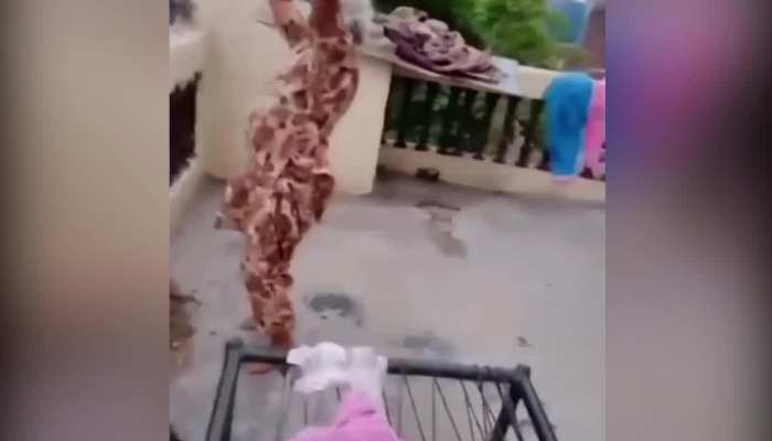 Viral: 80 साल की दादी ने उठाया इतना वजन कि लड़कों के उड़ गए होश, वायरल हो रहा वीडियो