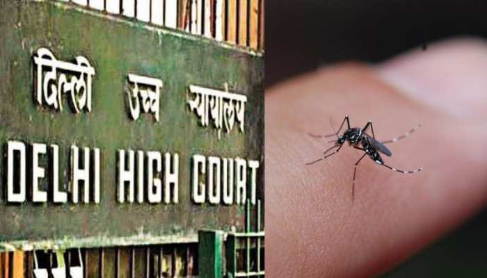 दिल्ली में पनप रहे मच्छर, सरकार जुर्माना बढ़ाकर 50 हजार करने की समीक्षा करे: HC