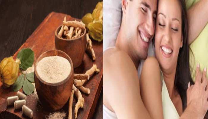 Ashwagandha Benefits: सेक्स लाइफ बेहतर बनाने में अश्वगंधा है वरदान,ऐसे करें इस्तेमाल