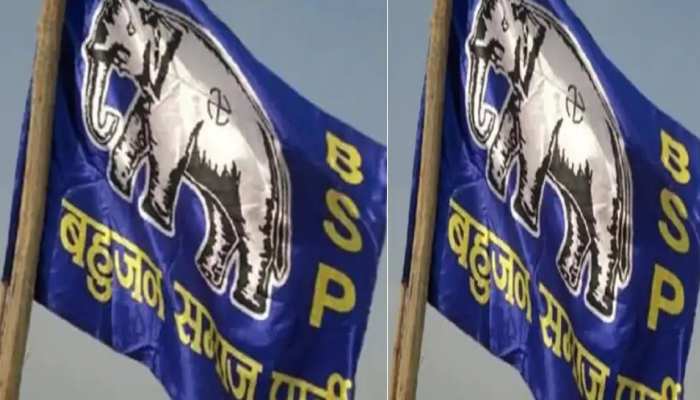 Bahujan Samaj Party (BSP) Flag Colors Color Scheme » Blue » SchemeColor.com