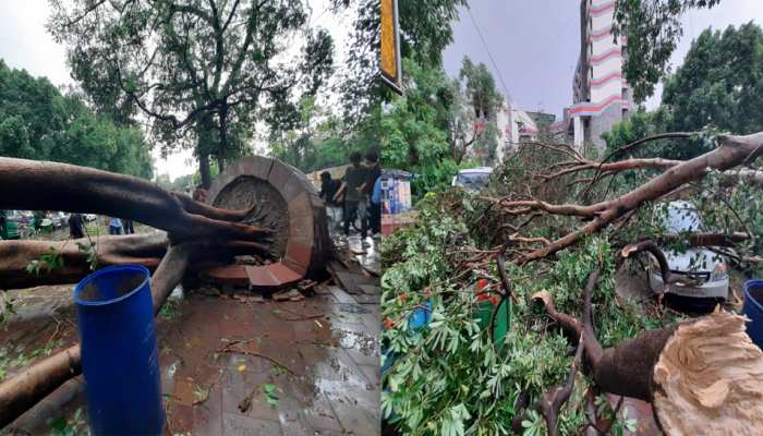 Delhi-NCR Weather Update Sudden weather took turn in Delhi-NCR heavy rain thunderstorms IMD alert | Delhi-NCR Weather Update: दिल्ली-NCR में आंधी-तूफान के साथ झमाझम बारिश, कई जगह टूटे पेड़; ट्रैफिक ...