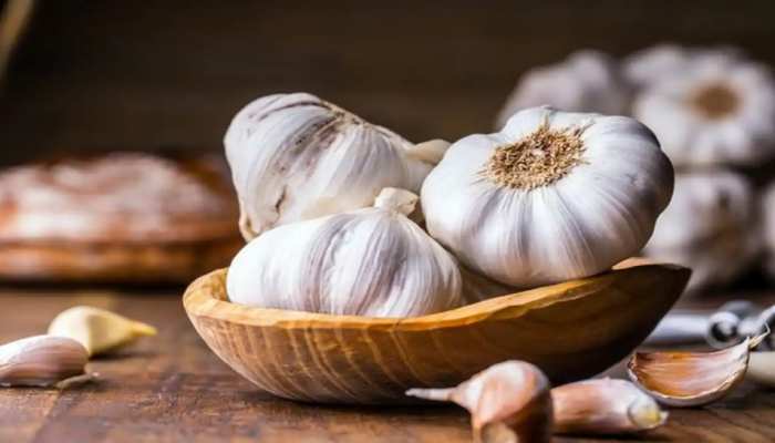 garlic benefits Lahsun Ke Totke trick will make you rich dhan labh astrology sdmp | स्वस्थ्य ही नहीं धनवान भी बनाता है लहसुन, आजमाएं ये तरीका रहेंगे टेंशन फ्री | Hindi News,