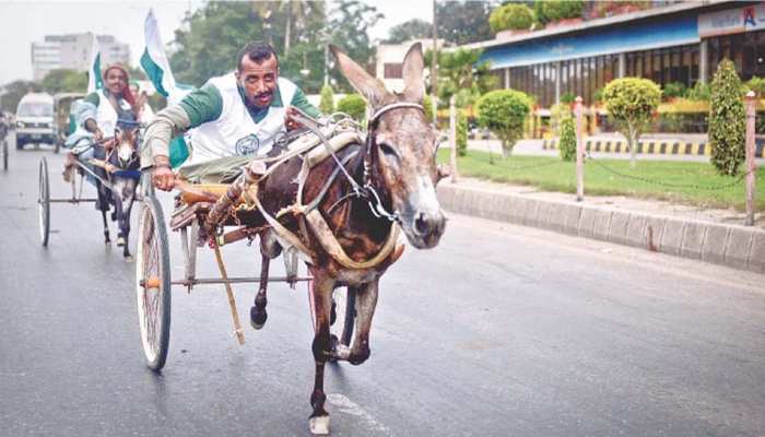 पाकिस्तान में कर्मचारी ने मांगी हवाईअड्डे तक गधा-गाड़ी लाने की इजाजत! 