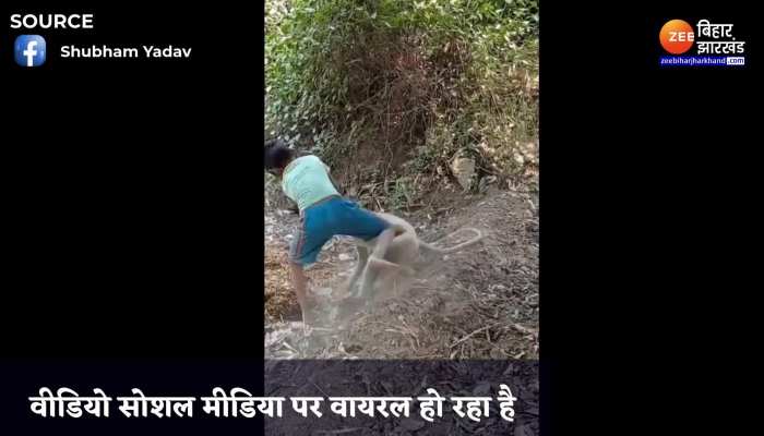  बच्चे और लंगूर की जमकर हुई लड़ाई, वायरल वीडियो में देखें कौन जीता 