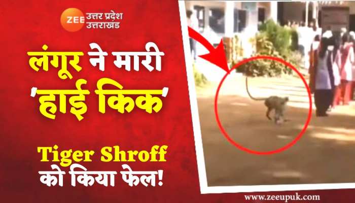 Video: प्रार्थना सभा में खड़ी लड़की को लंगूर ने मारी हाई किक, वीडियो हुआ वायरल