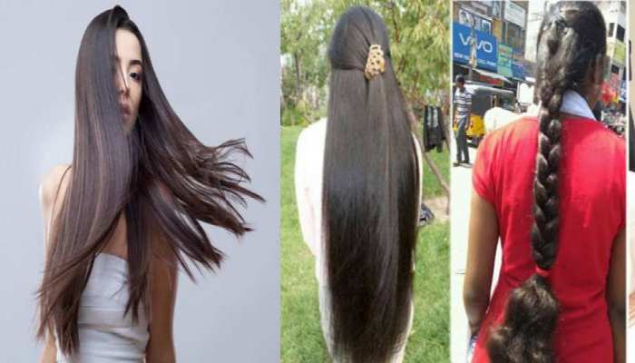 Hair Tips Aloe Vera Flax Seeds Fenugreek Seeds Curry Leaves these Natural Food keep your hair healthy | Healthy Hair Tips: इन 5 Natural Food की मदद से पाएं लंबे और हेल्दी Hair Tips Aloe Vera Flax Seeds Fenugreek Seeds Curry Leaves these Natural Food keep your hair healthy | Healthy Hair Tips: इन 5 Natural Food की मदद से पाएं लंबे और हेल्दी