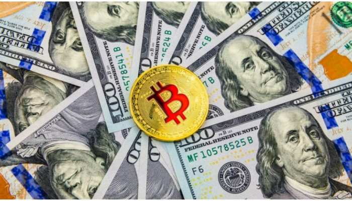 Bitcoin खरीदने वालों को लगी लाखों की चपत, 8 महीने में ही हो गया इतना बड़ा नुकसान