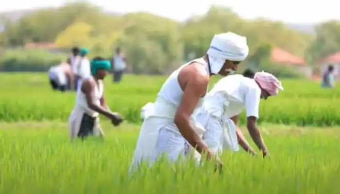 12वीं क‍िस्‍त से पहले क‍िसानों के ल‍िए खुशखबरी, इस योजना को फ‍िर शुरू कर रही सरकार