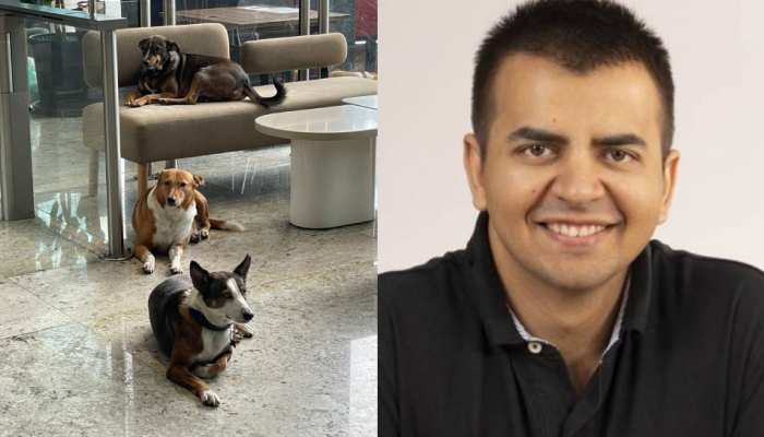 Ola Electric के ऑफिस में घुसे कुत्ते; CEO ने किया ऐसा काम, लोगों के आने लगे रिएक्शन