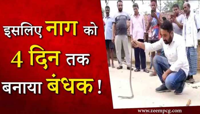 बच्चे को डसा नाग ने, फिर परिजनों ने सांप को 4 दिन तक बनाया बंधक, देखिए क्या हुआ Video