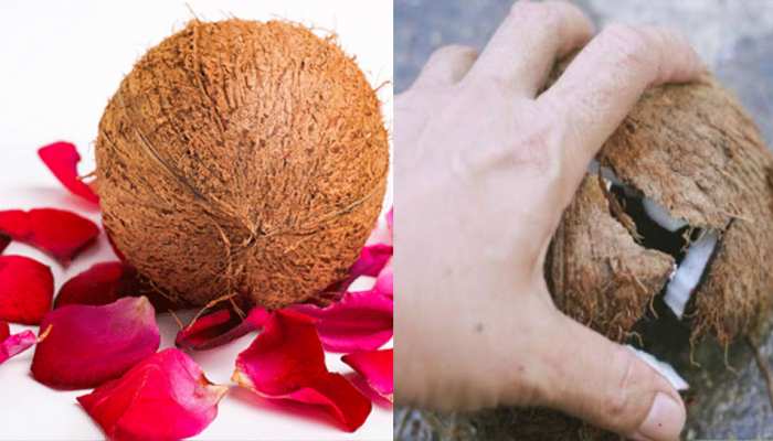 एक नारियल दूर कर सकता है जीवन के सारे दुख! जानें चमत्‍कारिक उपाय, मालामाल भी करेगा