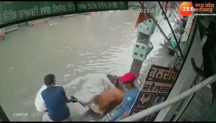 करंट से छटपटा रही थी गाय, एक दुकानदार ने कपड़े से खींच कर बचाई जान VIDEO