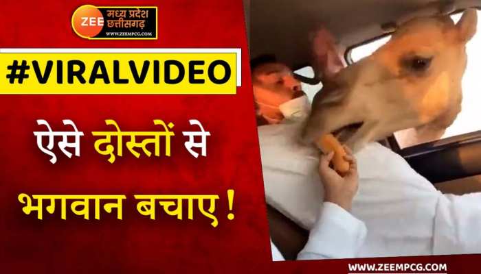 ऐसे दोस्त भगवान किसी को ना दे! इंटरनेट पर वायरल हो रहा ये Video