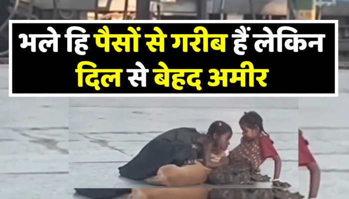 Love in heart दिलों को छूने वाला और चेहरे पर मुस्कान लाने वाला वीडियो