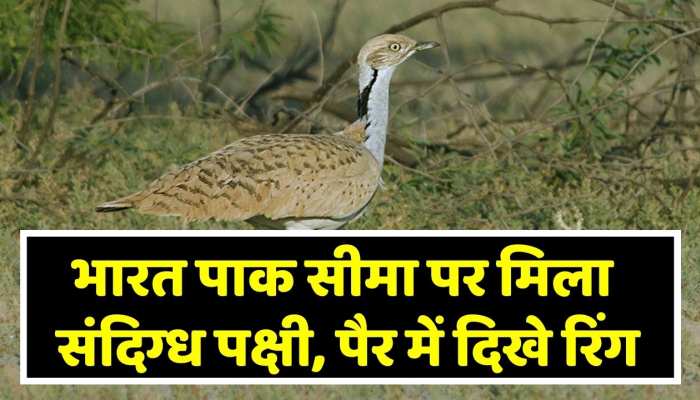 भारत पाक सीमा पर मिला संदिग्ध पक्षी पैर में देखे गए दो रिंग