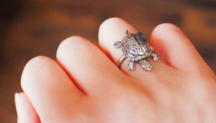 SEN ENTERPRISE Silver Tortoise Good Luck Ring / Turtle Ring for Girl and  Boy Lucky Tortoise / Designer Tortoise Vastu Feng Shui Kachua Good Luck  Charm Fashion Finger Ring for Women /