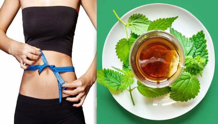 Weight Loss के लिए आपने कभी पी है ये Herbal Tea? कुछ ही दिनों में मिलेगी Flat Tummy