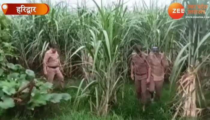 Watch Video: Shikandar को कैद में नहीं रख सकी Police, फिल्मी स्टाइल में हुआ फरार