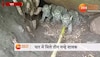 बिल्ली समझ के लोग ले रहे थे सेल्फी, गुर्राए तो उड़ गए होश Video