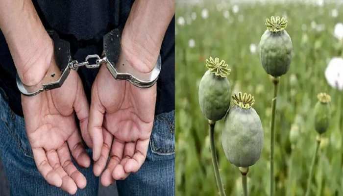 Smuggler arrested with more than 1 kg of opium already registered criminal  cases | 1 किलो से ज्यादा अफीम के साथ तस्कर गिरफ्तार, पहले से दर्ज हैं  अपराधिक मामले | Hindi News, Bihar Jharkhand Crime