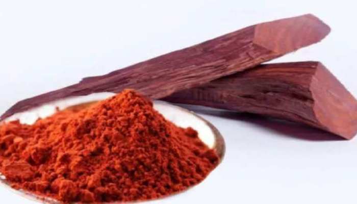 Rajkonna 100% Natural & Organic Red Sandalwood Powder – Shajgoj