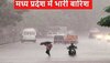 MP Weather: मध्य प्रदेश में मानसून फिर एक्टिव, भोपाल-ग्वालियर सहित कई जिलों में अलर्ट 