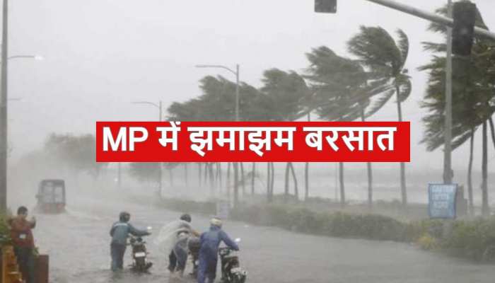 MP Weather: मध्य प्रदेश में आज भी होगी झमाझम बरसात, रीवा-शहडोल में अलर्ट