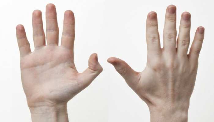 Palmistry Future by Fingers Know what says your finger shape ...