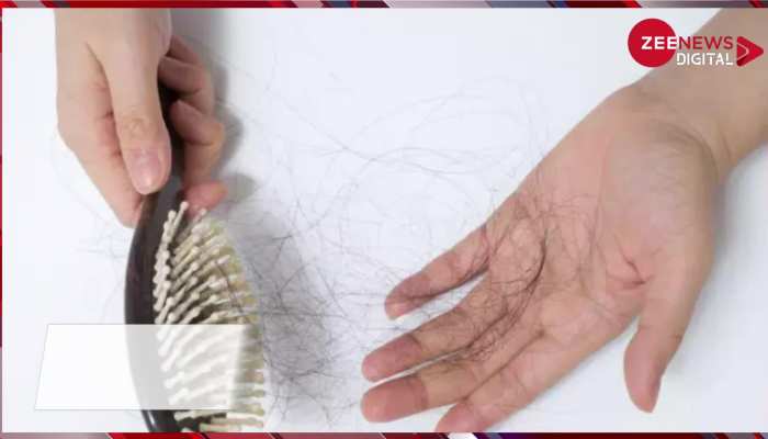 Hair Care Tips: मानसून में बालों को जड़ों से मजबूत बनाने के लिए करें ये काम