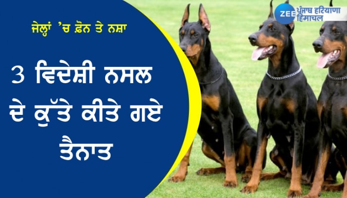 Watch Punjabi News Live on zee PHH in Hindi Zee News Hindi