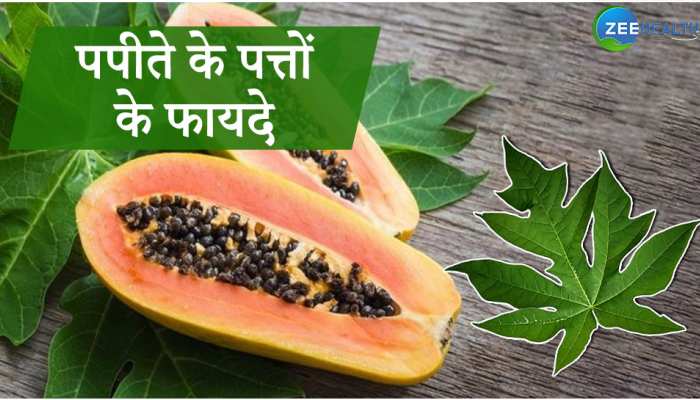 सेहत के लिए फायदेमंद है पपीते के पत्ते, मगर ऐसे करना होता है सेवन