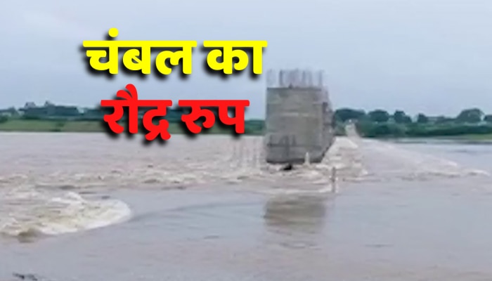 मध्यप्रदेश और राजस्थान के बीच कट गया संपर्क, चंबल अपने रौद्र रुप में