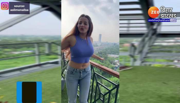 मोनालिसा ने बनाया रील्स, सोशल मीडिया पर जमकर हो गया वायरल
