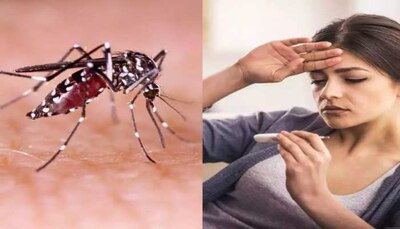 health care tips these problems are felt when you have dengue |Dengue  Fever: डेंगू होने पर महसूस होती हैं ये समस्याएं, भूलकर भी न करें नजरअंदाज|  Hindi News