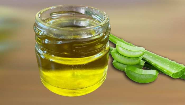 hair care tips applying aloe vera and mustard oil in the hair will give relief from hair fall |Hair Care Tips: बालों में एलोवेरा और सरसों का तेल लगाने से हेयर फॉल hair care tips applying aloe vera and mustard oil in the hair will give relief from hair fall |Hair Care Tips: बालों में एलोवेरा और सरसों का तेल लगाने से हेयर फॉल