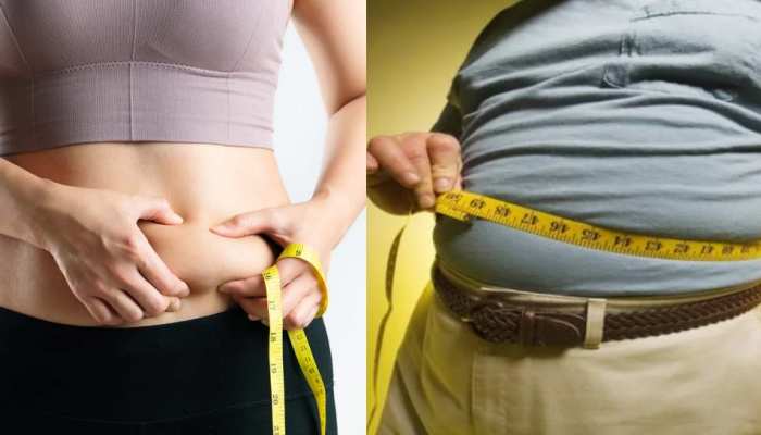 Weight Loss Tips: वजन घटाने के लिए खाएं ये 5 मीठी चीजें, डायबिटीज का खतरा भी कम