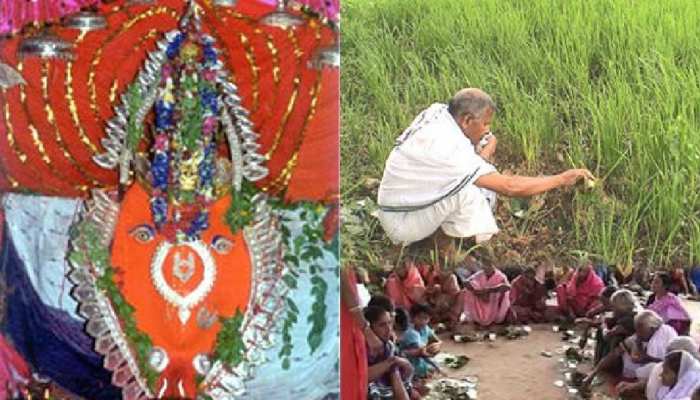 Nuakhai Celebration: ଏକାଠି ହେବ ପଶ୍ଚିମ ଓଡ଼ିଶା, ନୂଆଖାଇ ପାଇଁ ପ୍ରସ୍ତୁତ ଶେଷ