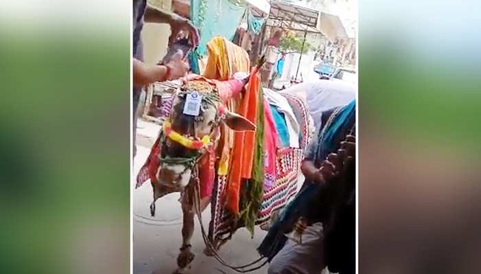 Video: दक्षि‍णा लेने का सामने आया अनोखा तरीका  