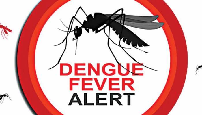 Dengue Fever symptoms: Protect yourself From Dengue Follow these home  prevention tips for family sscmp | Dengue Fever Prevention: डेंगू बुखार से  खुद को बचाएं; परिवार व प्रियजनों के लिए इन घरेलू