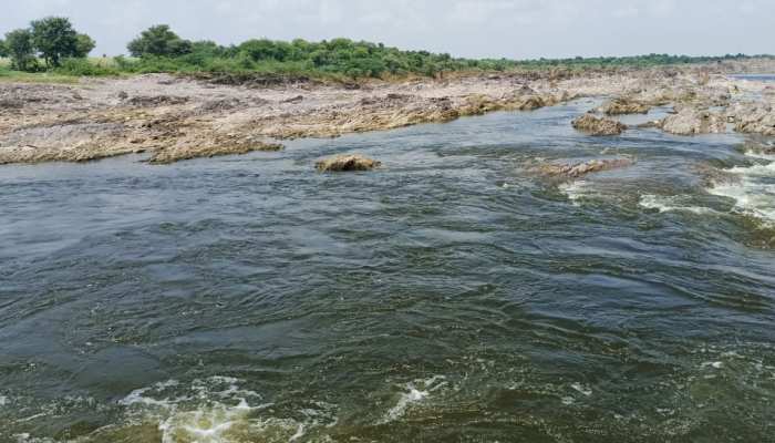 मांडलगढ़: बेड़च नदी में छोड़ा जा रहा केमिकल युक्त पानी, ग्रामीण बोले- मवेशी क्या पिएंग