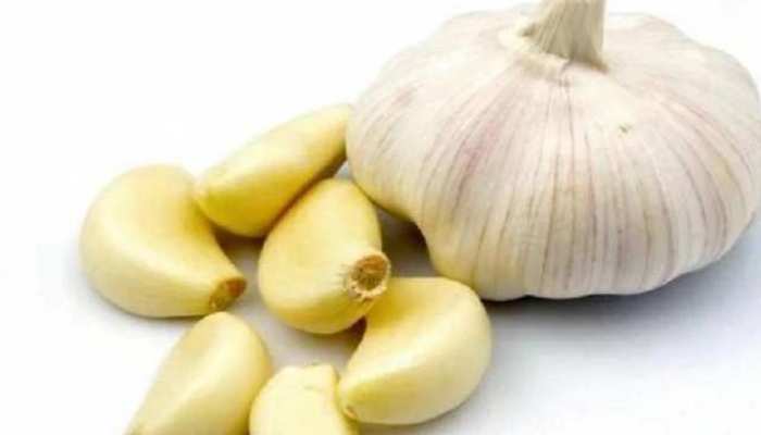 lahsun ke fayde healthy Benefits of Garlic for male at night apmp| Benefits  of Garlic: रात को करें सिर्फ लहसुन की 2 कली का सेवन, कई रोग होंगे दूर