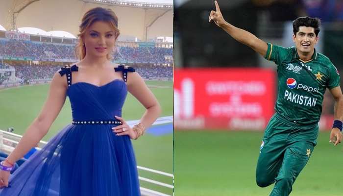 Pakistani Cricketers Naseem Shah and Urvashi Rautela relation Public troll  on instagram aymp | पाकिस्तानी क्रिकेटर नसीम शाह और उर्वशी रौतेला ने  इंस्टाग्राम पर की ऐसी हरकत, पब्लिक ने ...