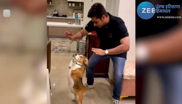 Viral Video: पंजाबी गाने पर डॉग ने किया भांगड़ा, देखें वीडियो