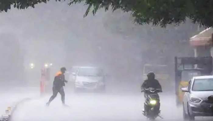 मध्य प्रदेश में बारिश की ताज़ा खबरे हिन्दी में | ब्रेकिंग और लेटेस्ट न्यूज़  in Hindi - Zee News Hindi