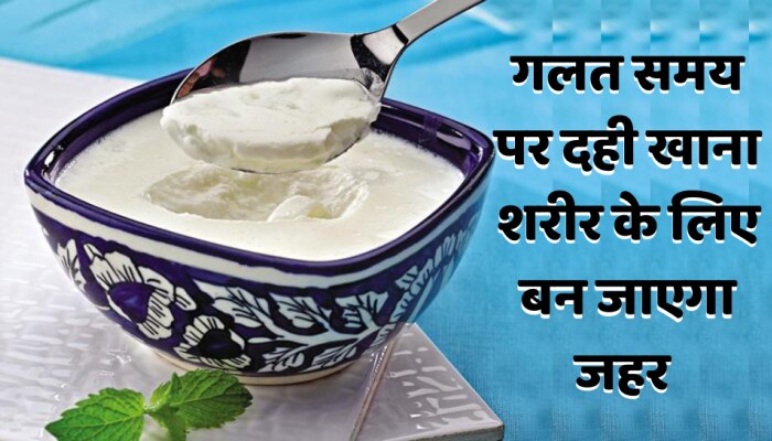 Health Tips: गलत समय पर दही खाना पड़ सकता है भारी, सेहत के लिए हो सकती है खतरनाक