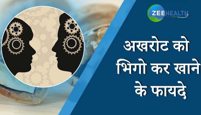 Walnut Benefits: सेहत के लिए वरदान है अखरोट, जानें इसके फायदे