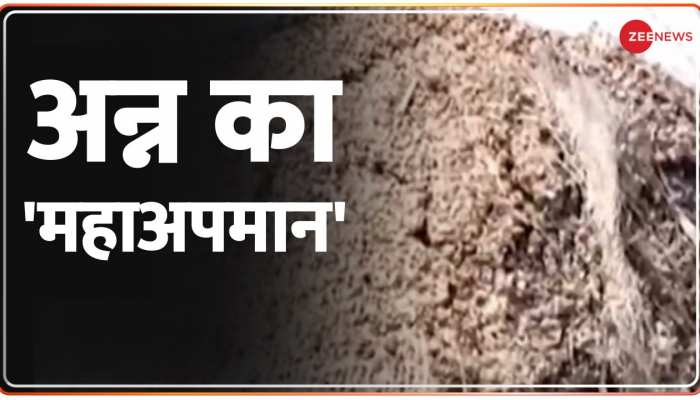 Haryana News: लापरवाही की भेंट चढ़ा सरकारी अनाज